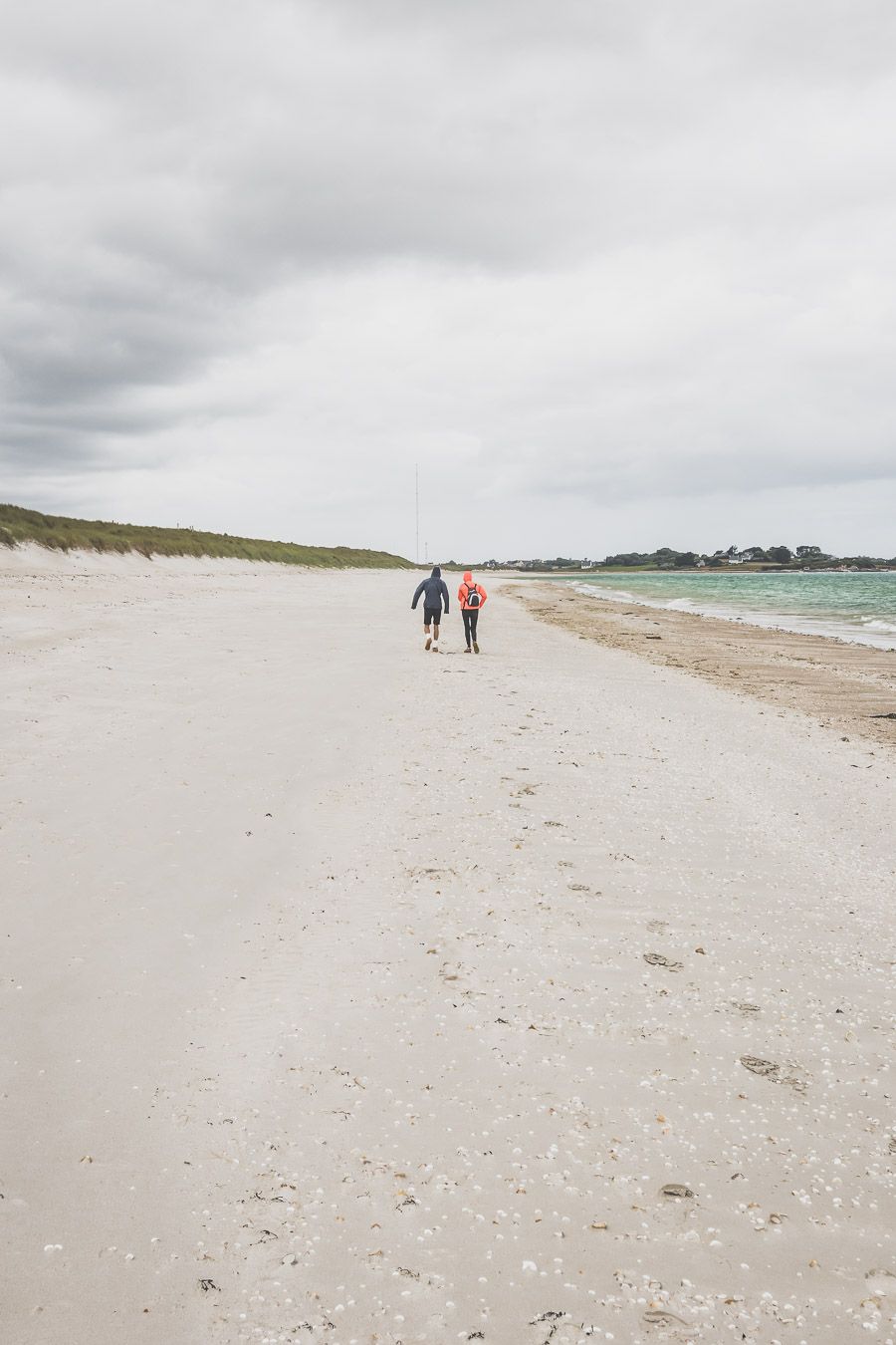 Sortie Nature dans le Finistère Nord