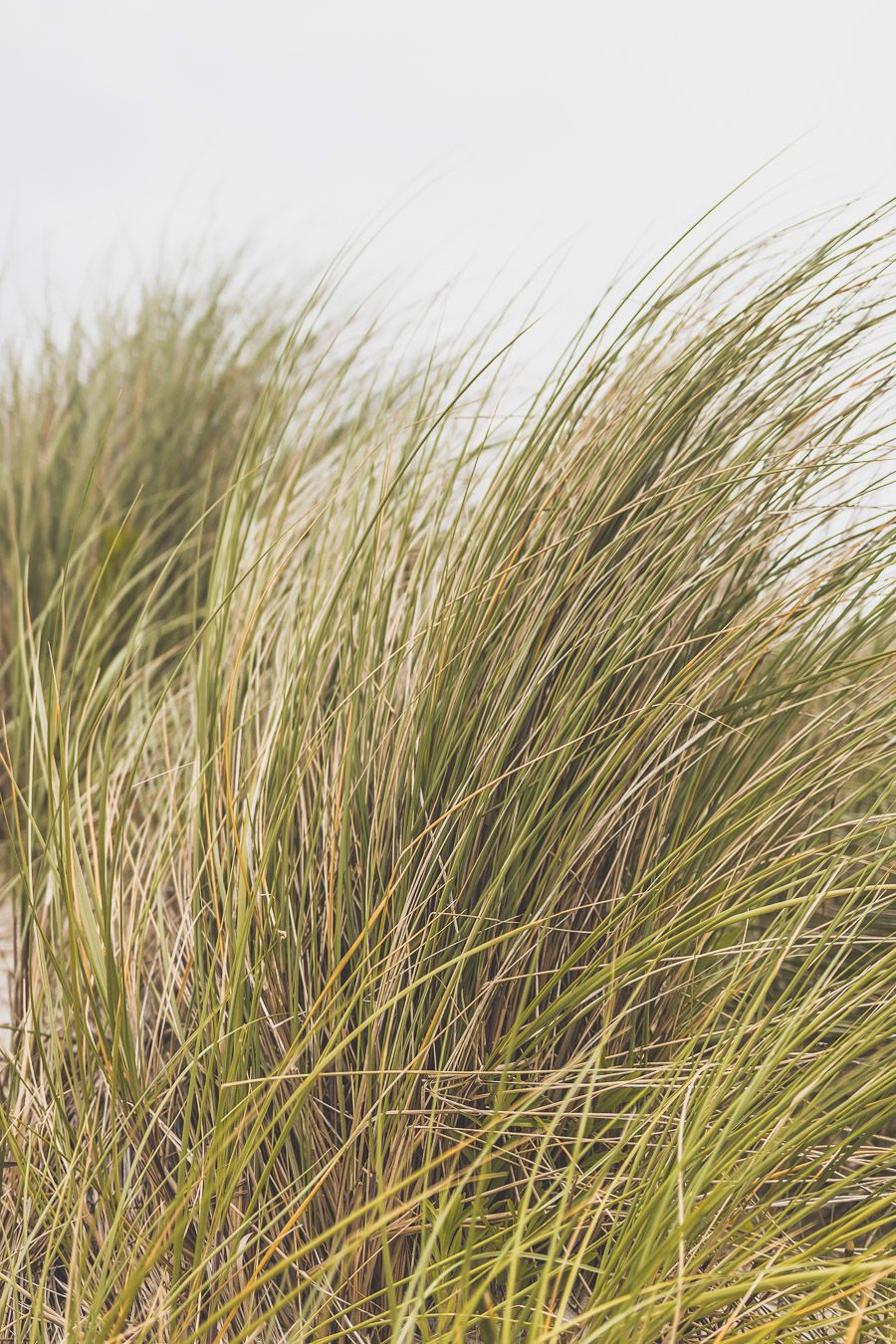 Sortie Nature dans le Finistère Nord