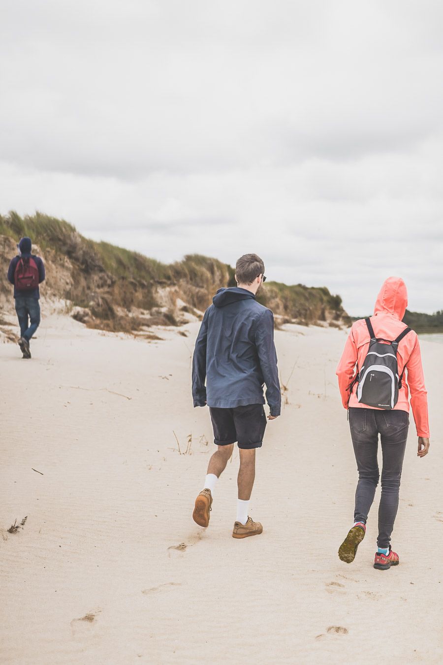 Sortie Nature dans le Finistère Nord