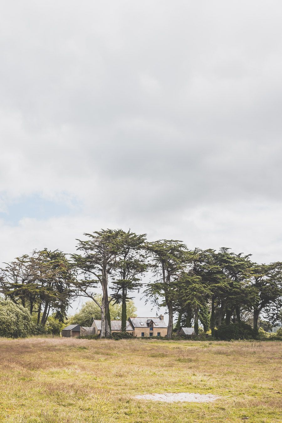 Sortie Nature dans le Finistère Nord