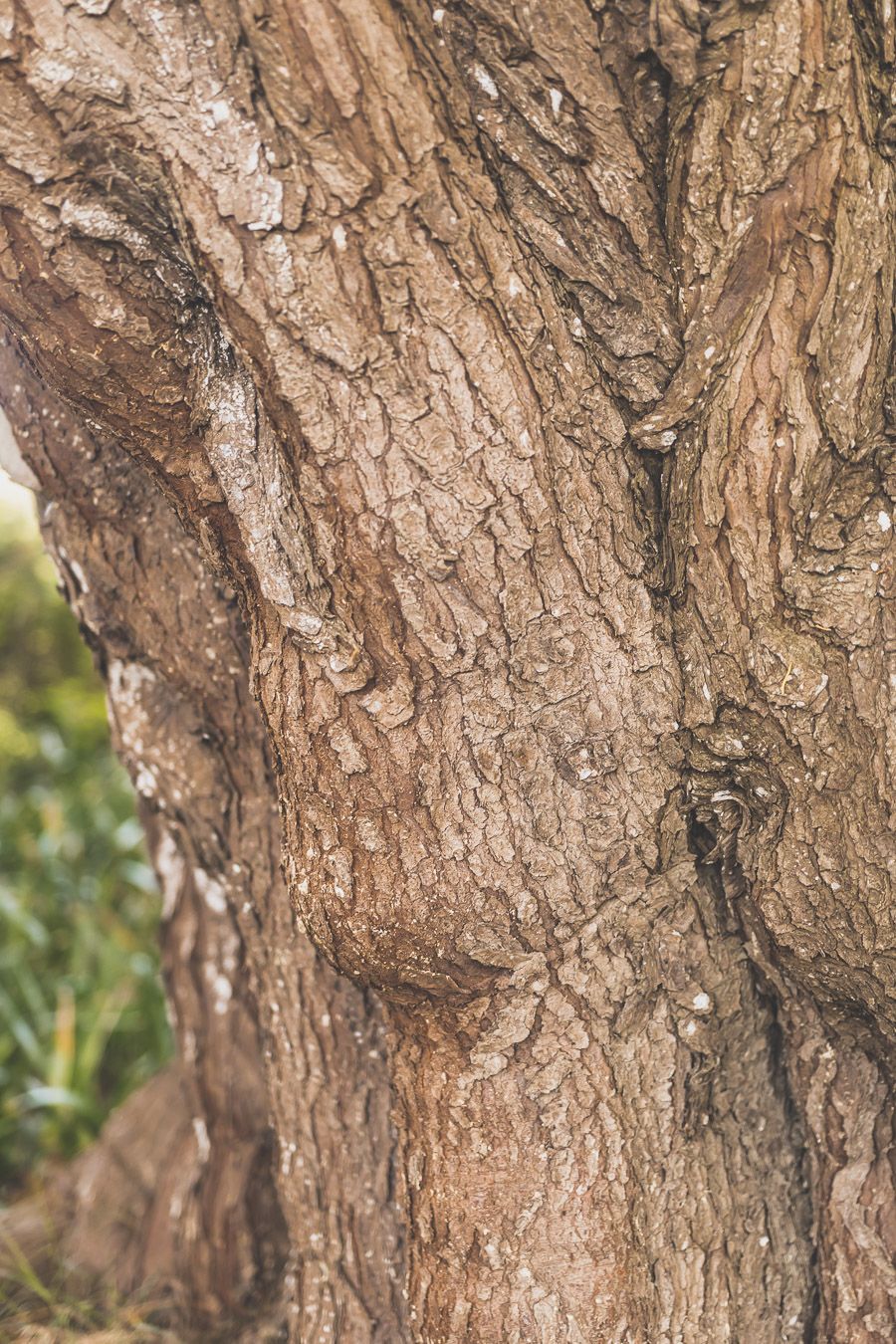 Sortie Nature dans le Finistère Nord