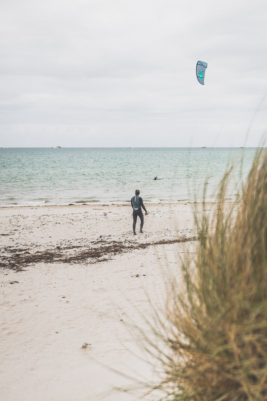 Sortie Nature dans le Finistère Nord