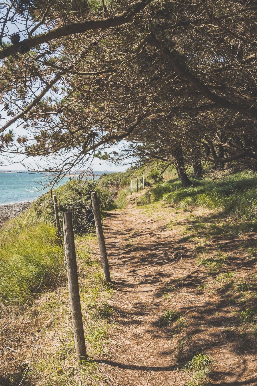 Le meilleur du Finistère Nord