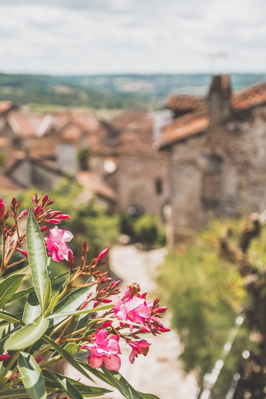 Fleurs à Penne-d'Agenais