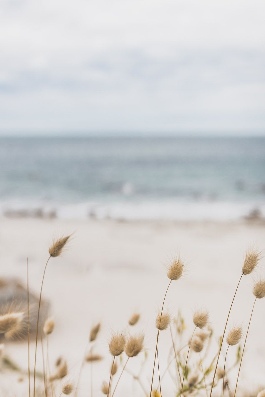 Plage du Lidivic, Brignogan-Plage