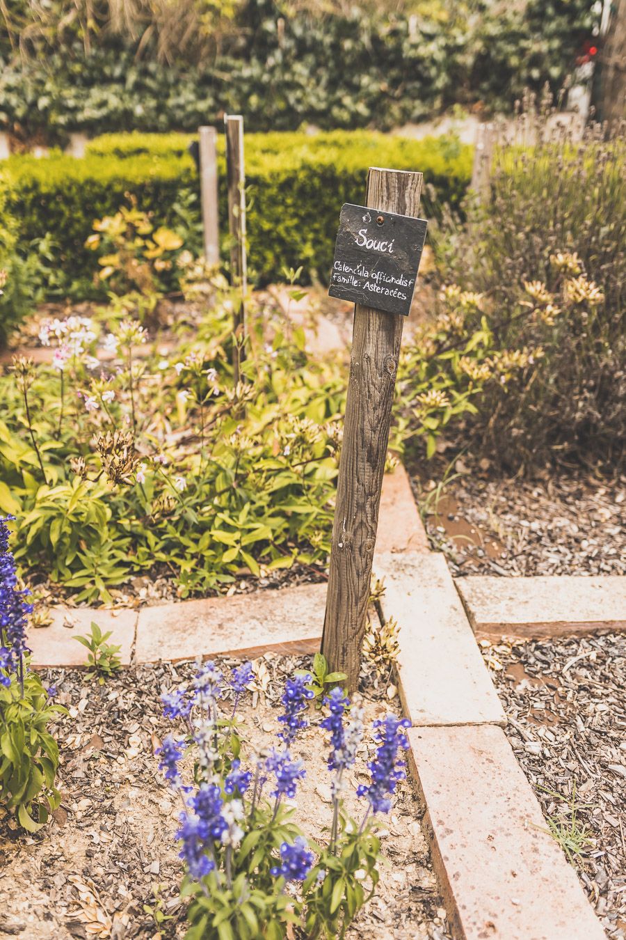 Jardin médiéval à Sarrant