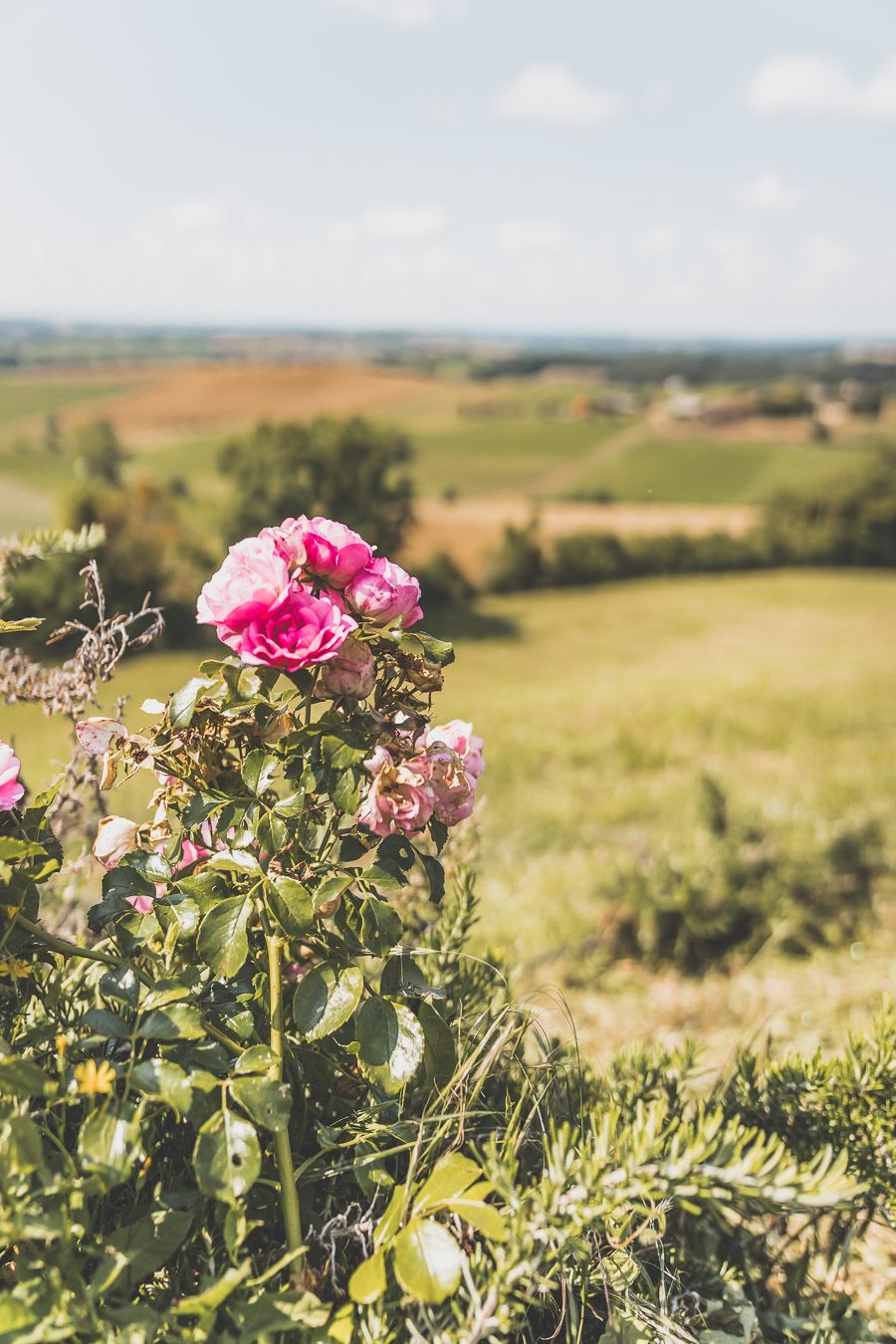 Vous cherchez une destination de vacances en France ? Pourquoi ne pas visiter le Gers ? Suivez ce guide pour un week-end en France. Vacances Occitanie / Occitanie France / Occitanie tourisme / Sud ouest France / Sud ouest paysage / France travel / France tourisme / road trip France / Europe travel / Europe travel list / Vacances en France / Voyage France/ Destinations de voyages / Idées voyages / Europe / Vacances Europe / Gers France / Gers tourisme / Gers paysage / Week end France destinations