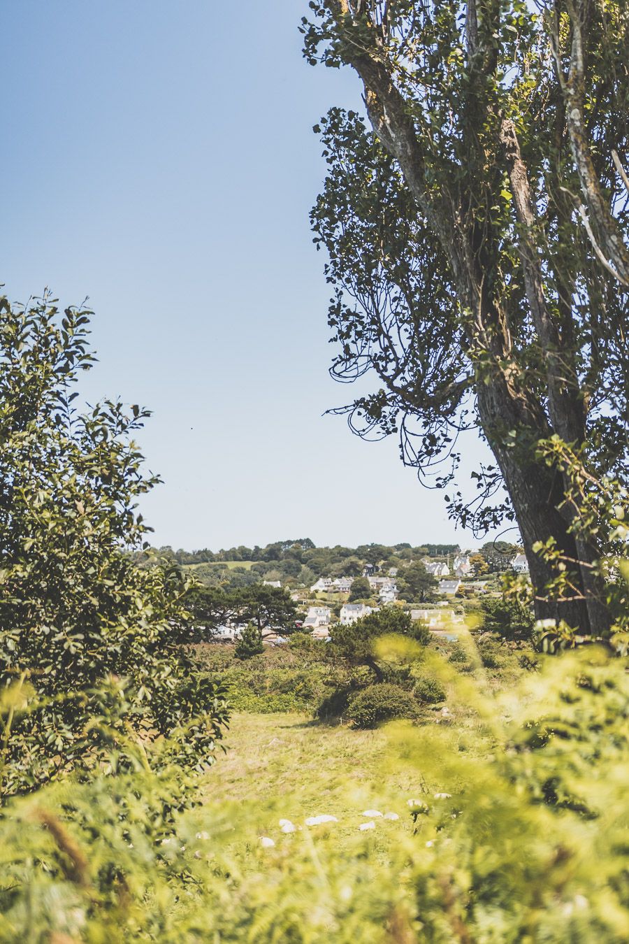 Découvrir la Baie de Morlaix