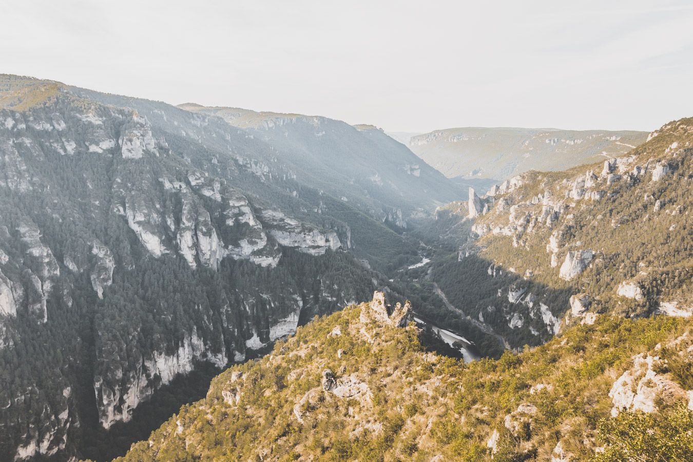 Le Tarn qui serpente au milieu des falaises