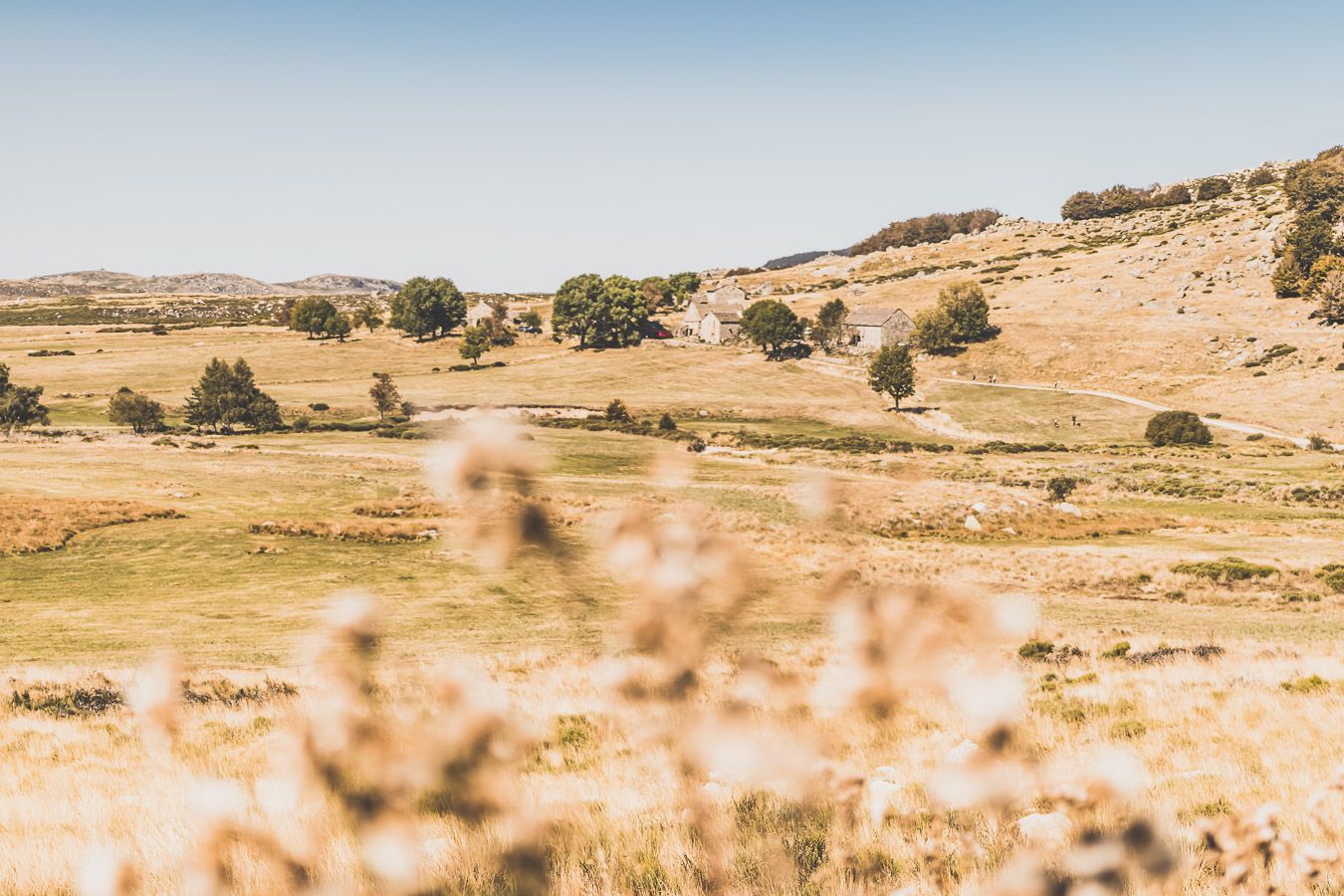 Week-end en Lozère : road trip dans les Cévennes