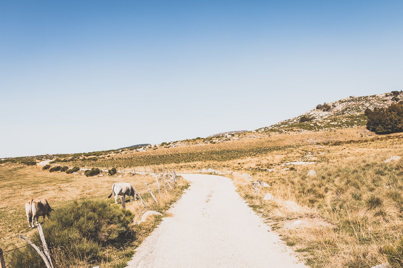 piste du Mont Lozère