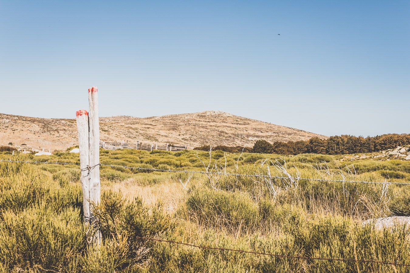 Week-end en Lozère : road trip dans les Cévennes