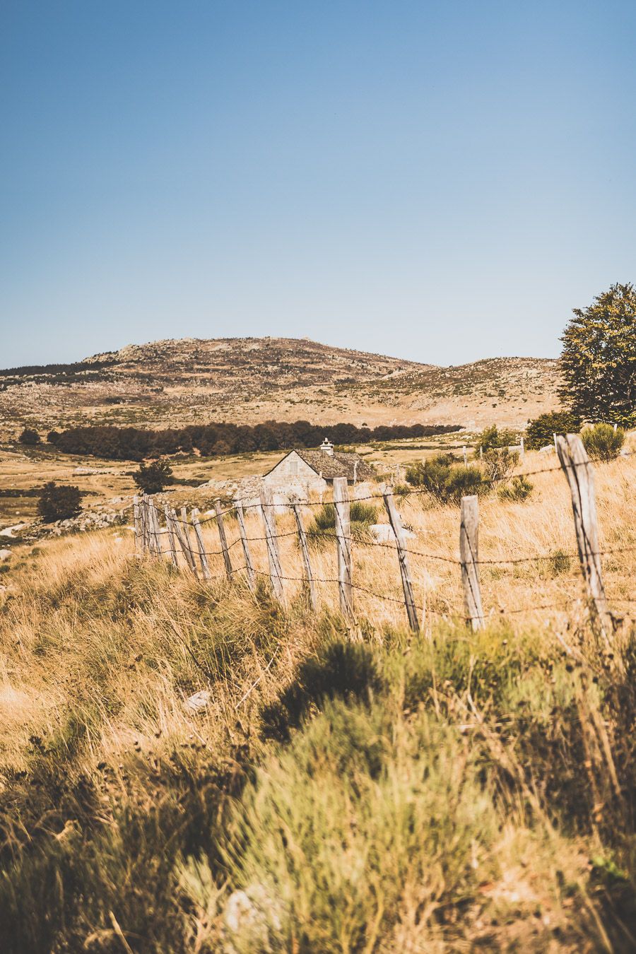 Week-end en Lozère : road trip dans les Cévennes