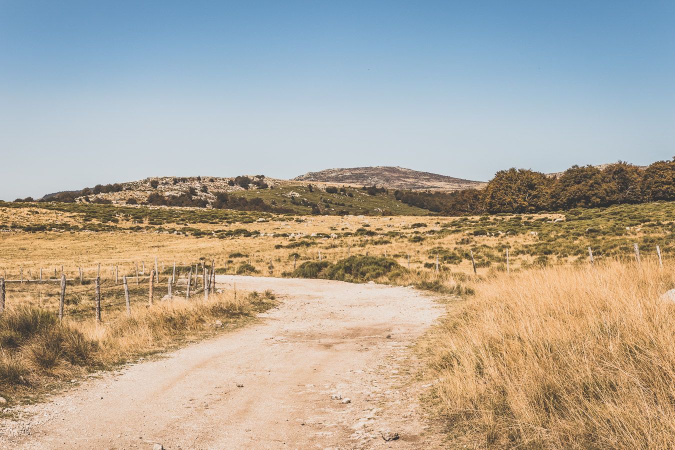 Week-end en Lozère : piste du Mont-Lozère