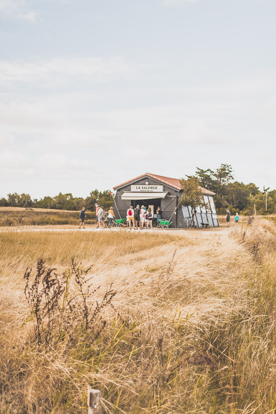 Marais salants sur l'île d'Oléron