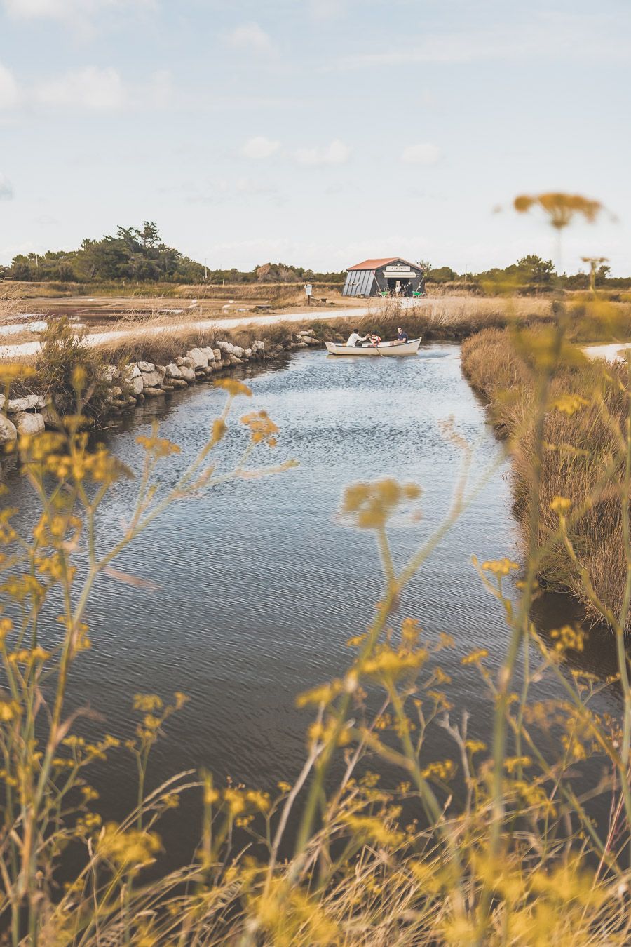 Marais salants sur l'île d'Oléron