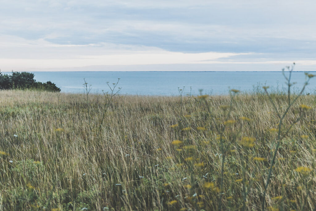 Pointe de Suzac