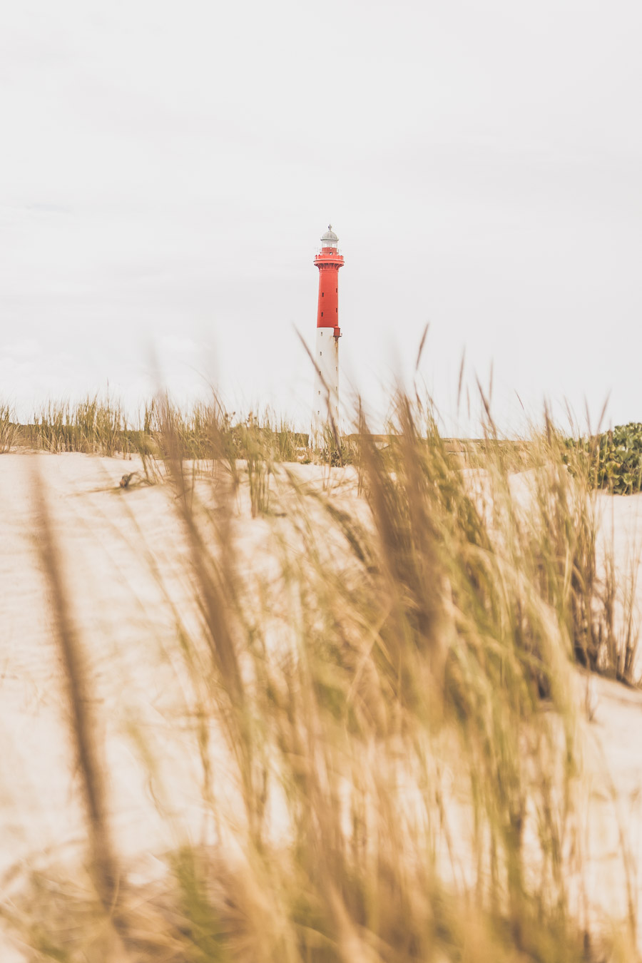 Phare de la Coubre La Tremblade