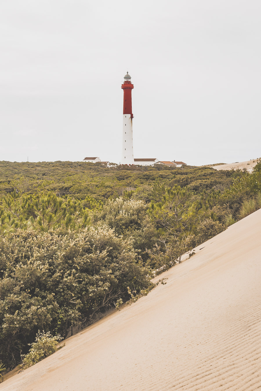 Que faire en Charente-Maritime ?