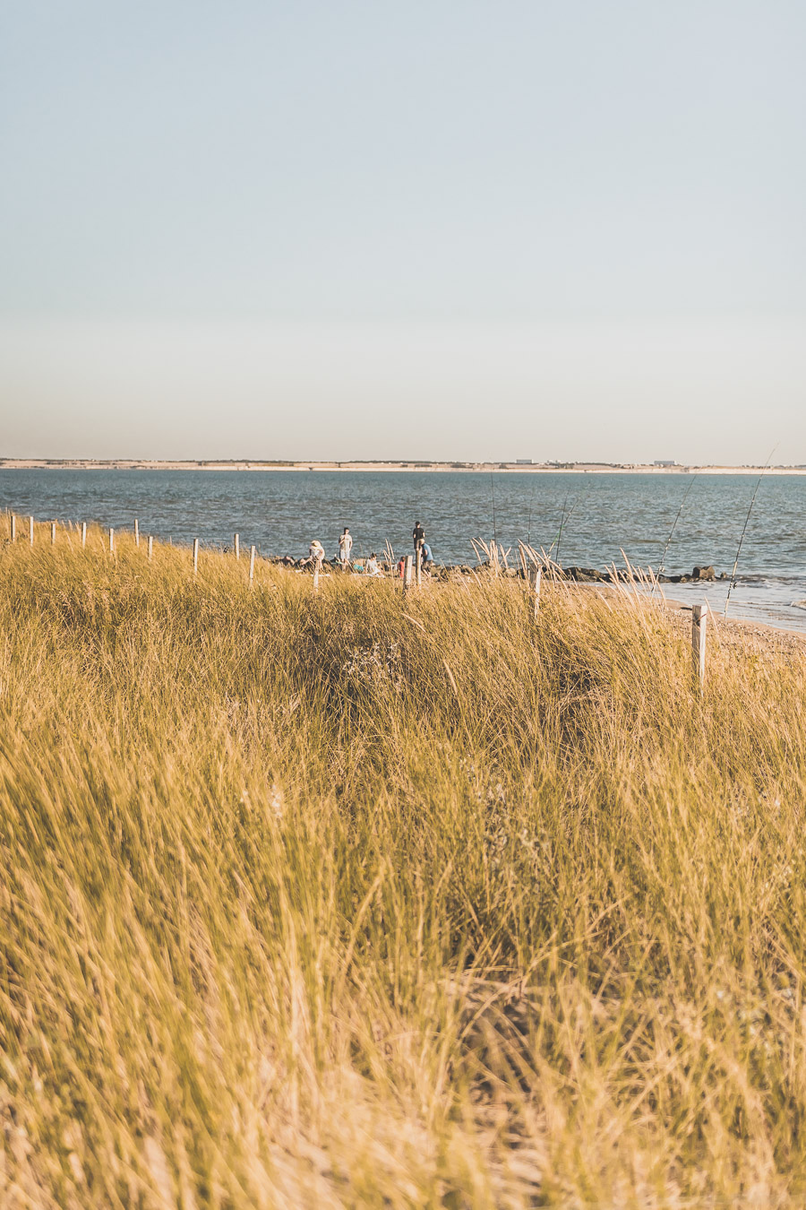 Baie de l'Aiguillon