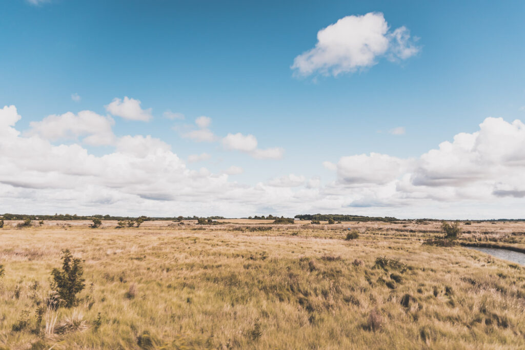 paysage de Charente-Maritime