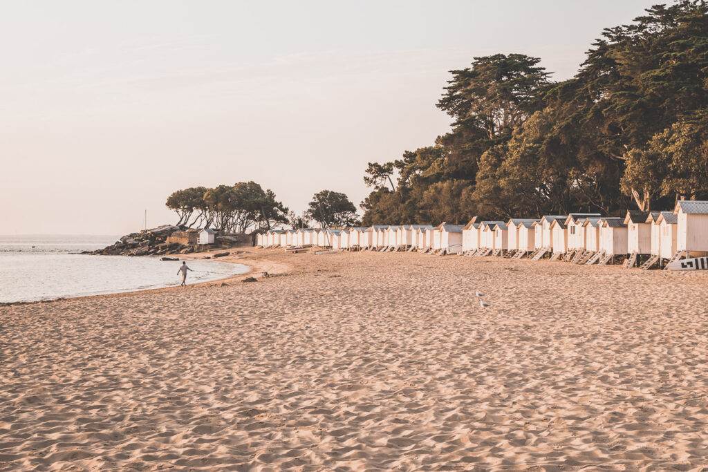 Visiter l'île de Noirmoutier en Vendée