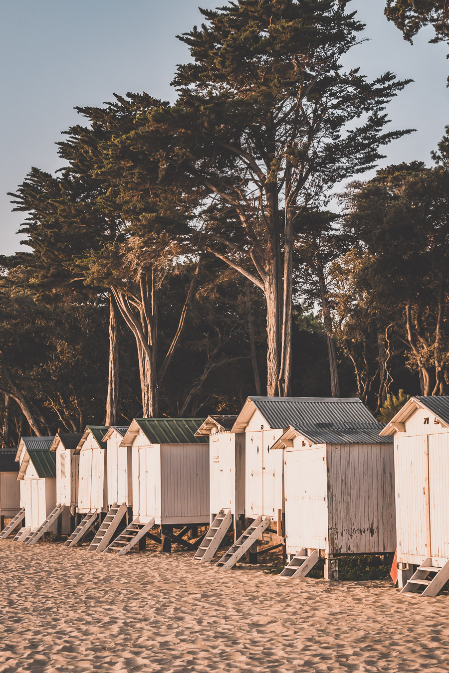 Visiter l'île de Noirmoutier en Vendée