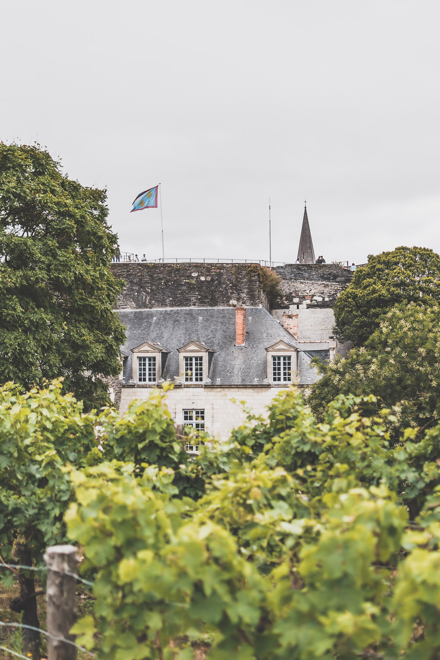 visite du Maine-et-Loire