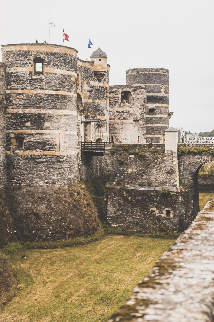 visite du Maine-et-Loire