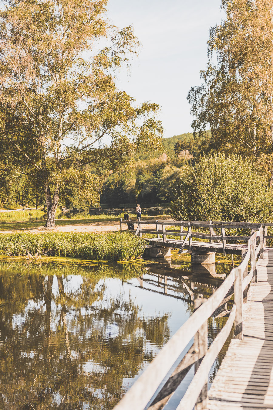 Que faire dans le Bas-Rhin ?