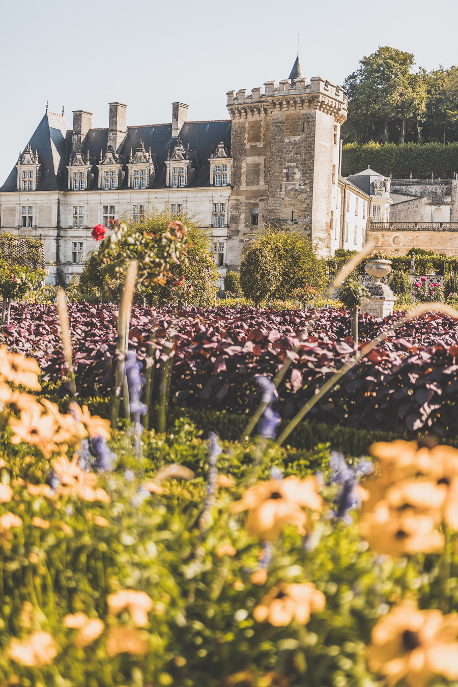 Que faire en Indre-et-Loire ?