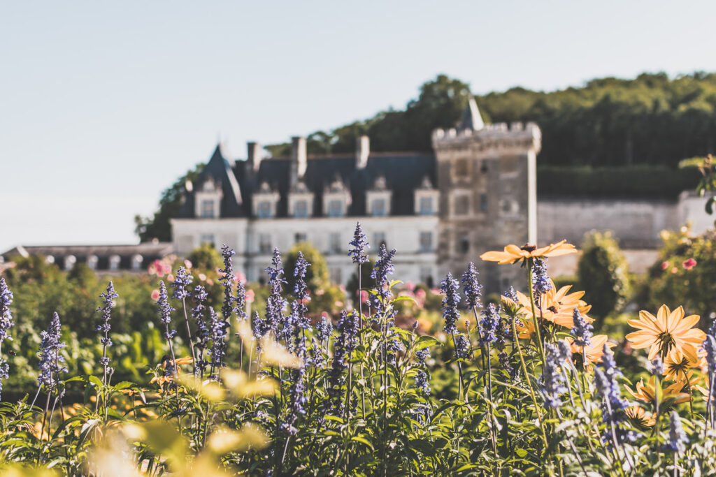 Que faire en Indre-et-Loire ?