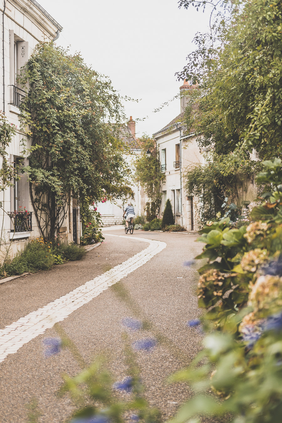 Road trip sur la route des Châteaux de la Loire