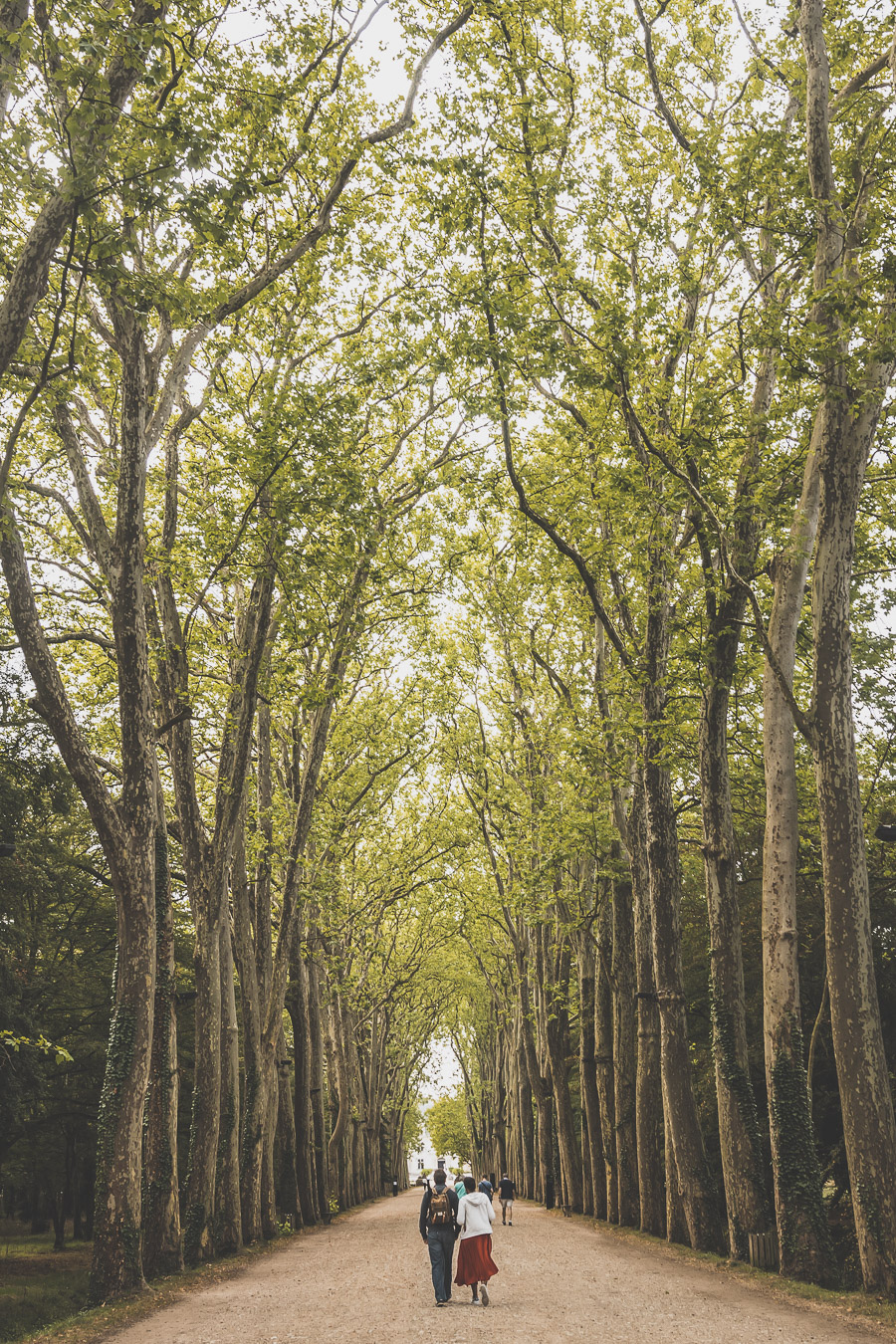 Road trip sur la route des Châteaux de la Loire