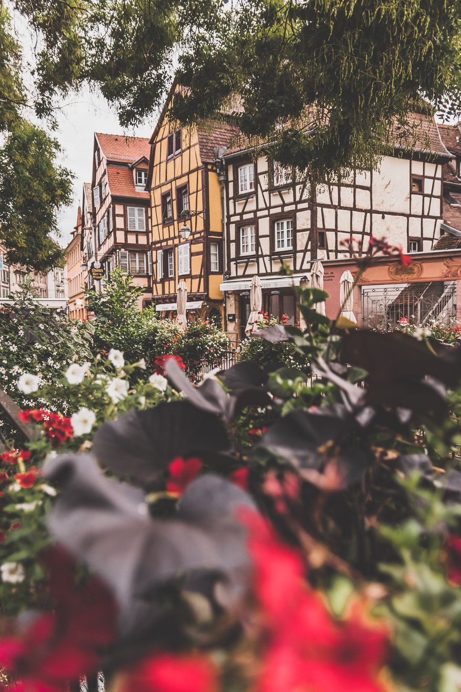 Visiter Colmar