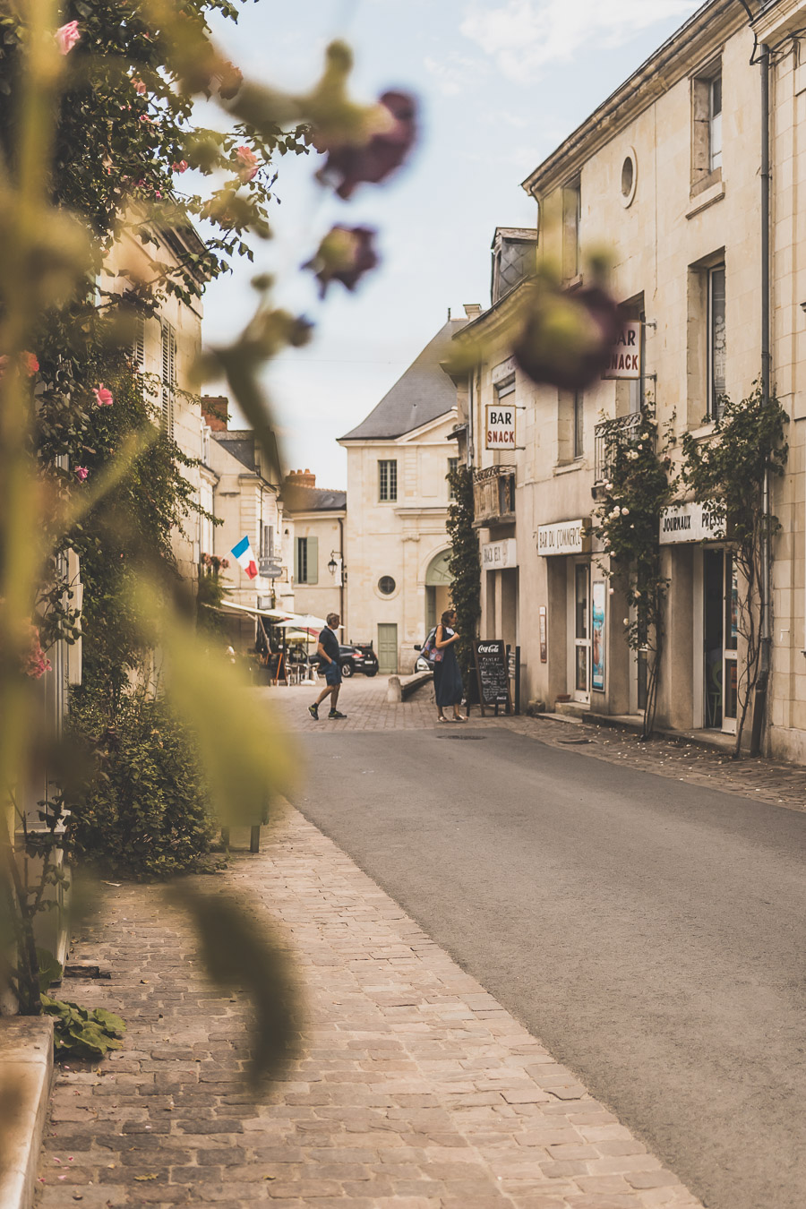 Fontevraud-l'Abbaye