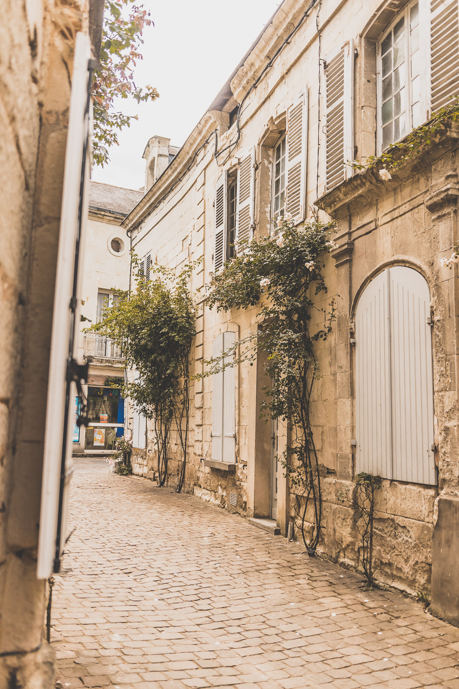 Fontevraud-l'Abbaye