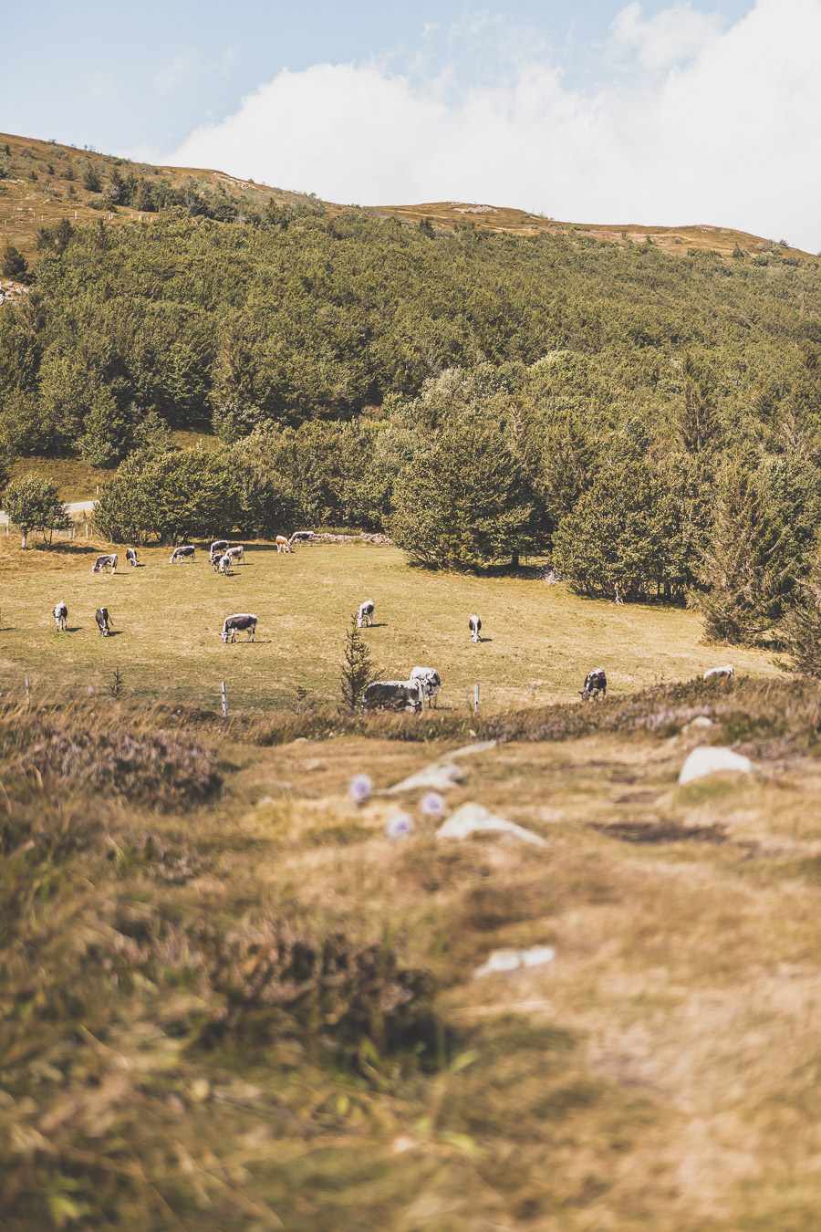 Grand Ballon