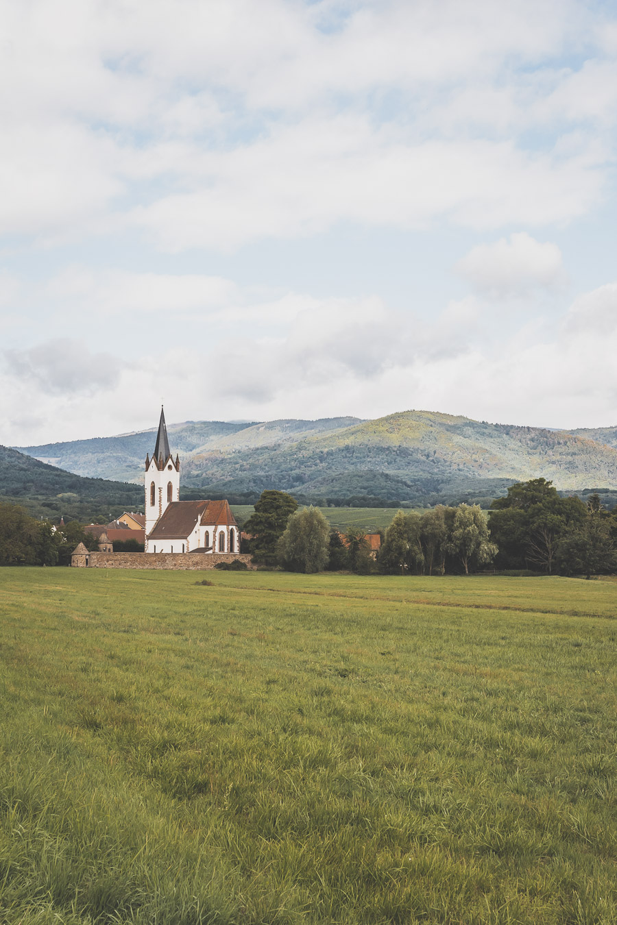 Que faire dans le Haut-Rhin ?