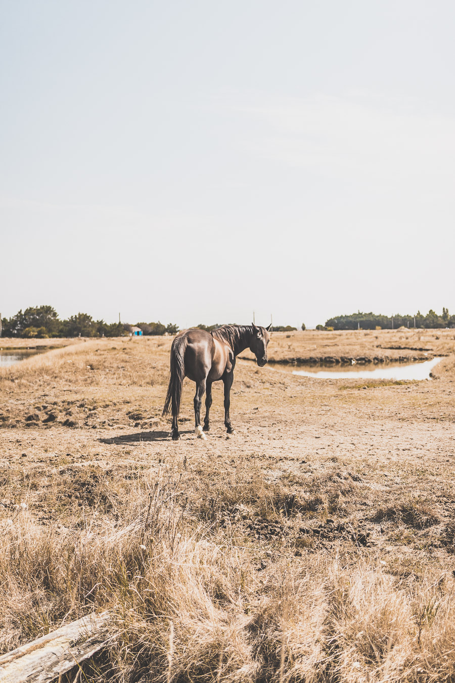 Que visiter en Vendée ?