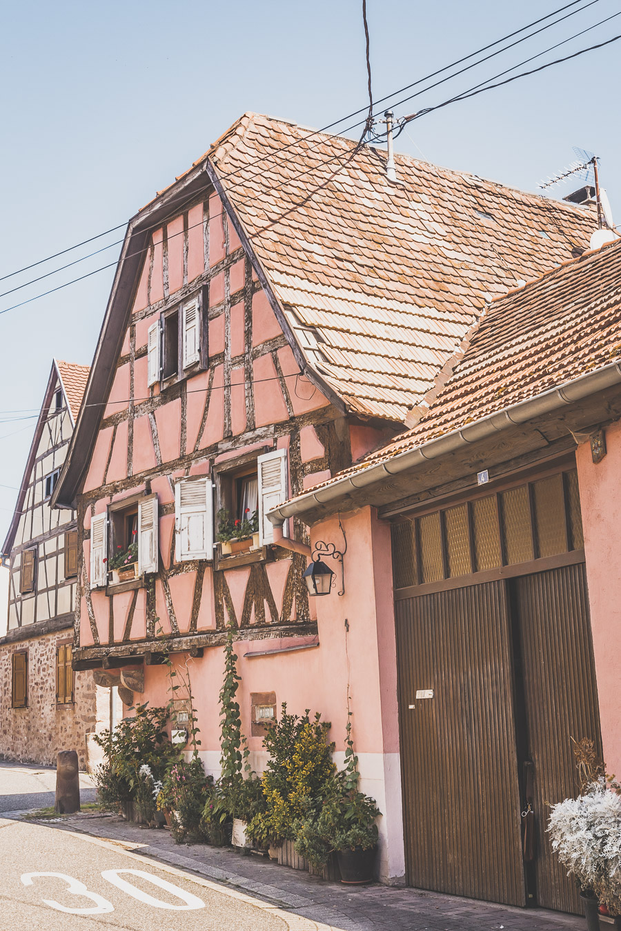 road trip route des vins en Alsace