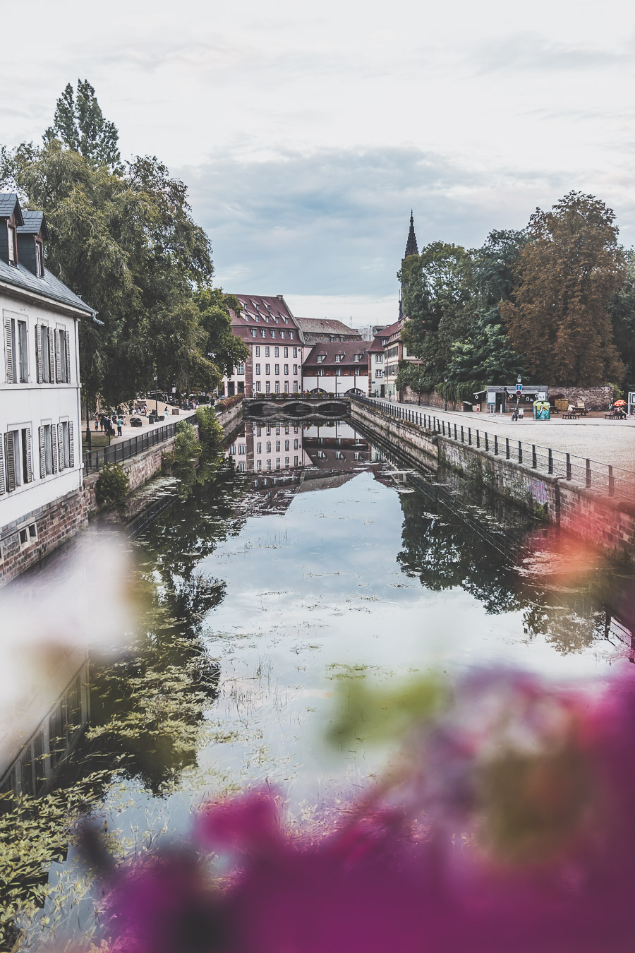 road trip en Alsace