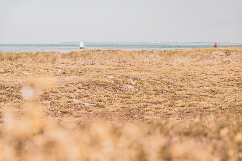 Que visiter en Vendée ?