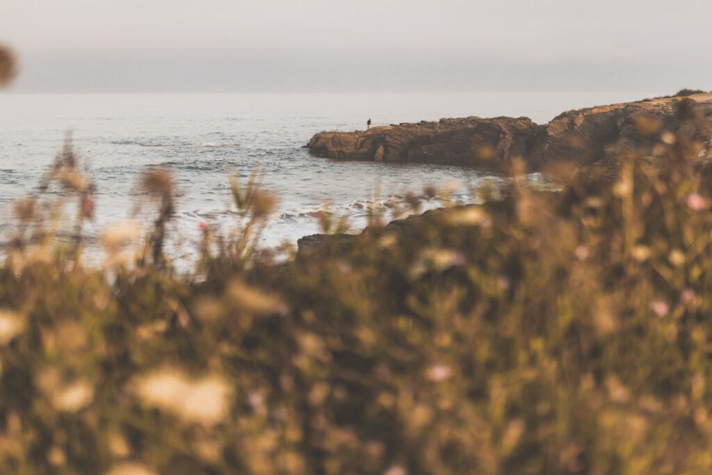 Que visiter en Vendée ?