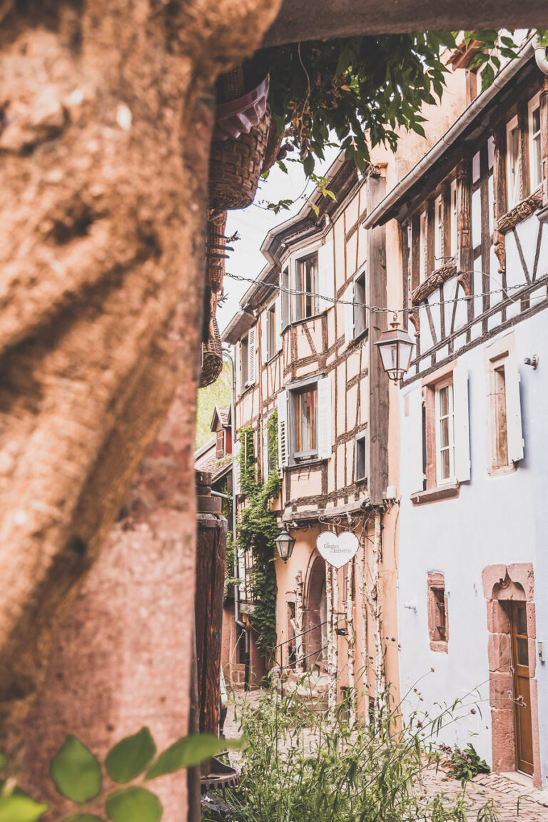 Visiter l'Alsace que faire dans le HautRhin ? — Prochains Détours