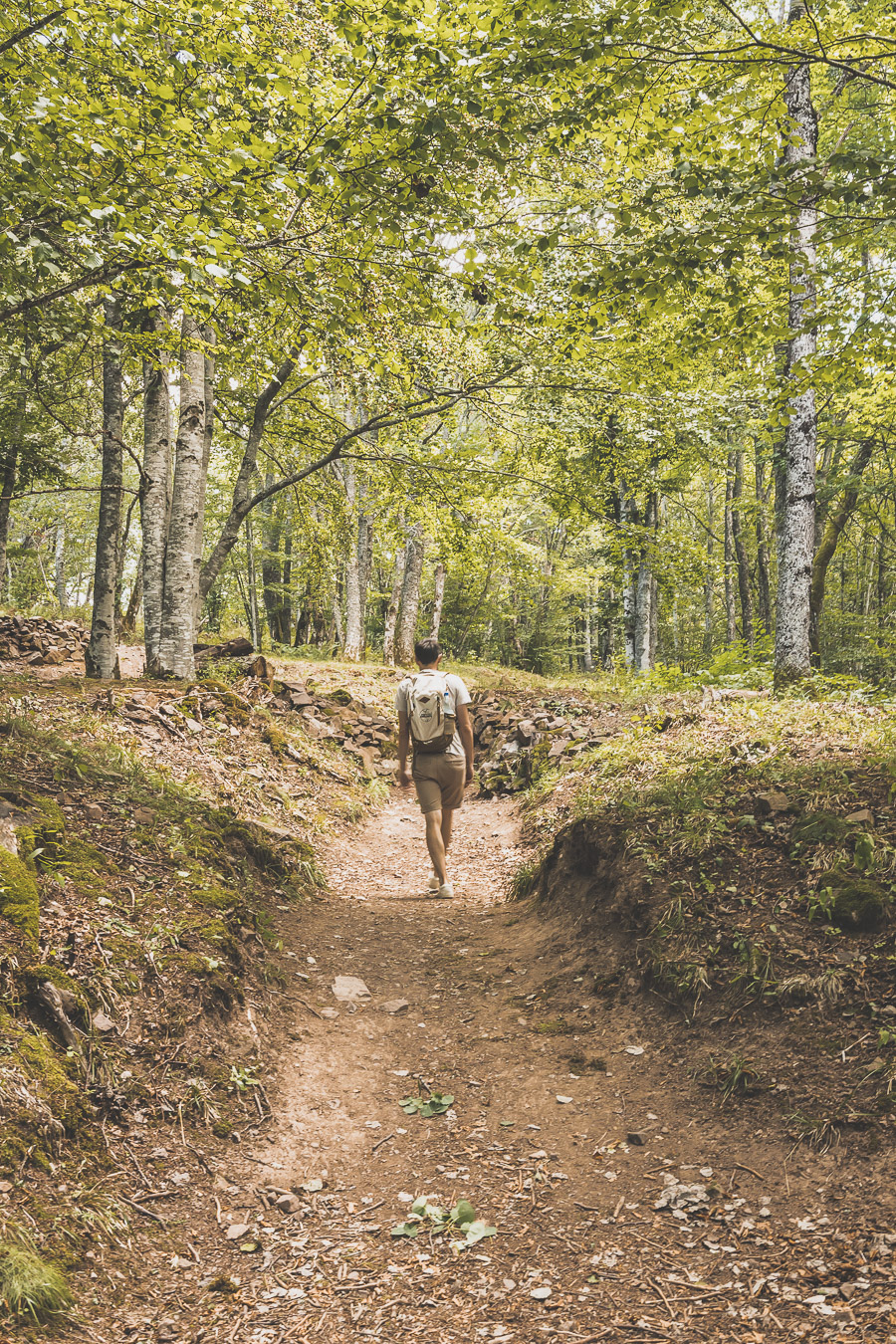 Vieil Armand dans les Vosges