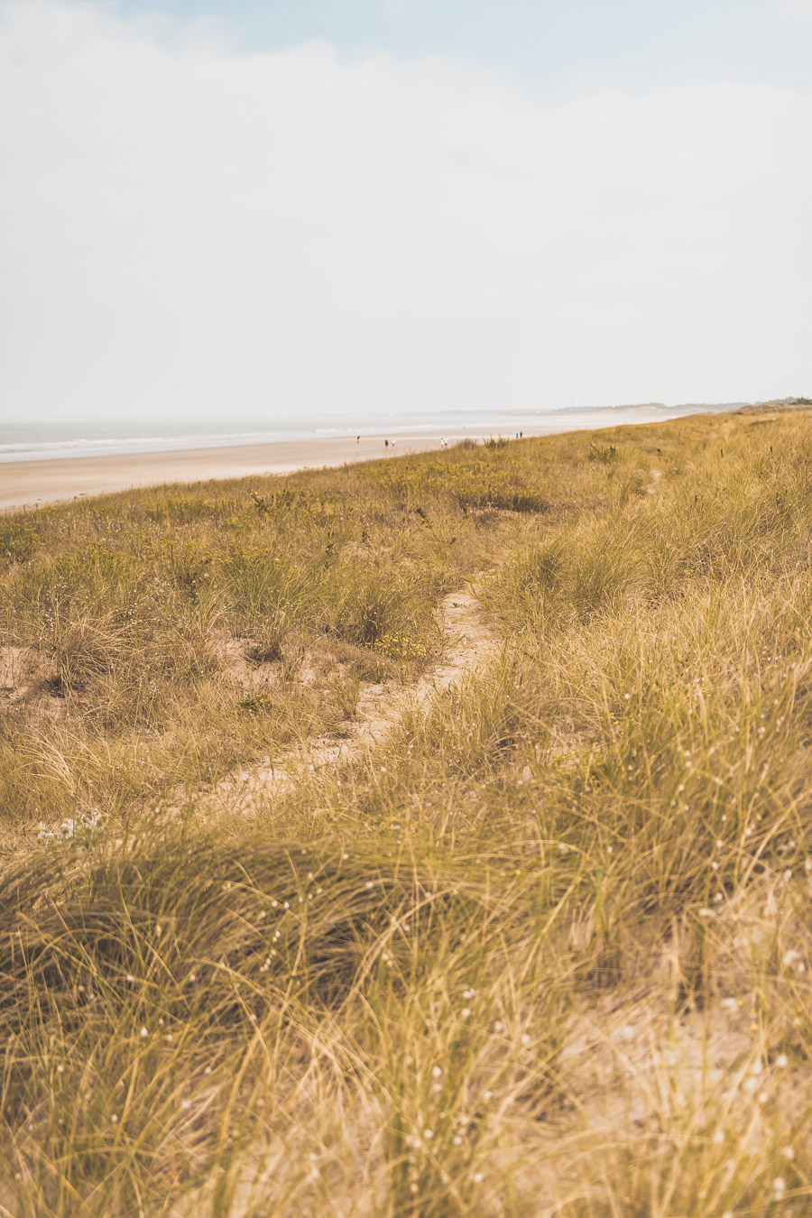 Que visiter en Vendée ?