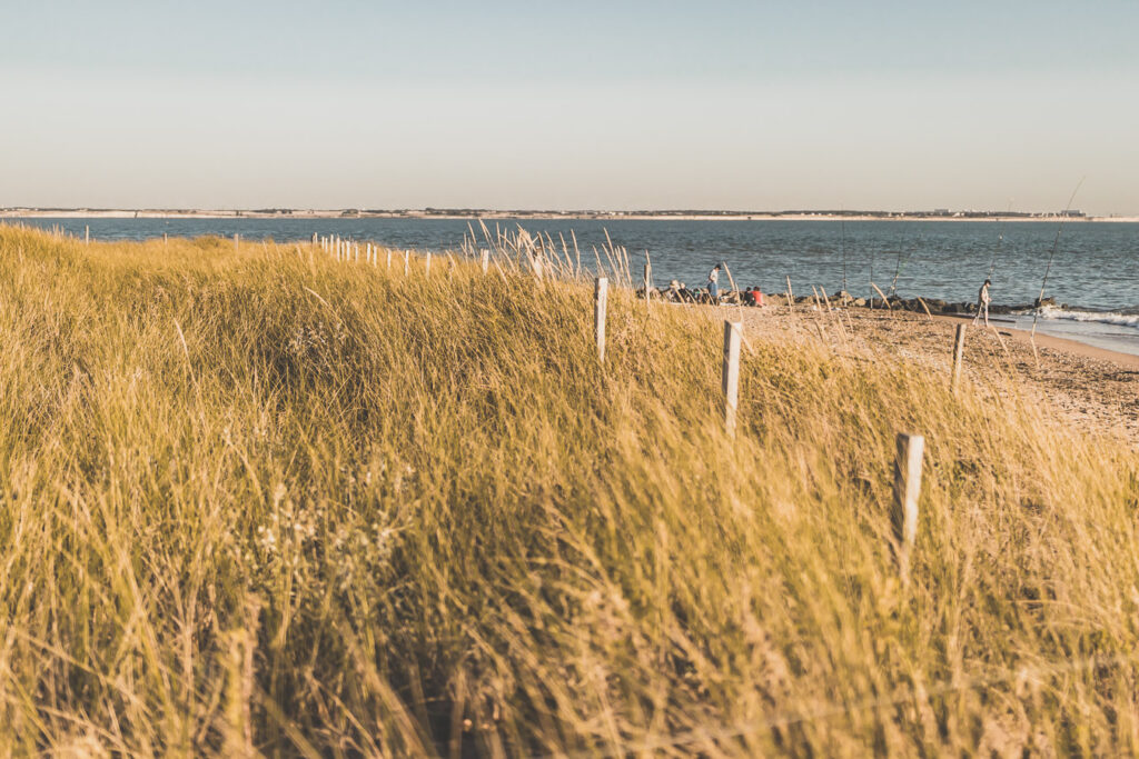 Baie de l'Aiguillon