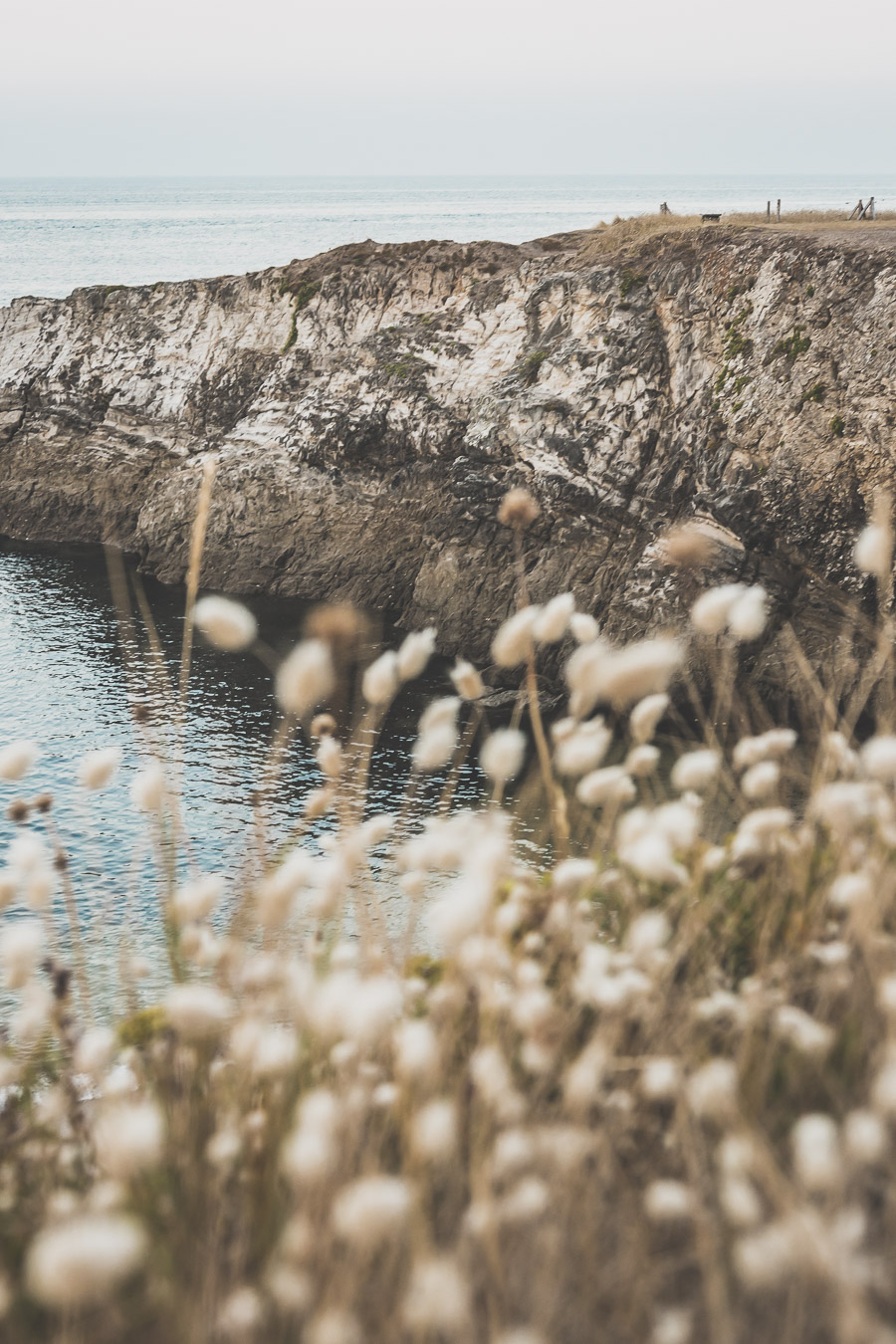 Les plus beaux coins de Loire-Atlantique