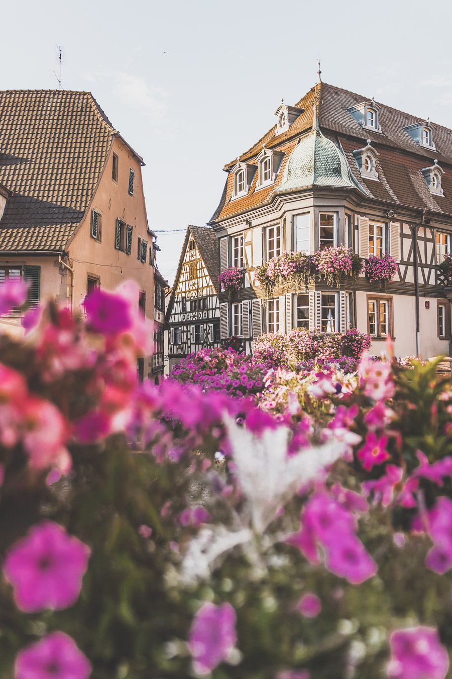 Visiter l'Alsace et les Vosges en van